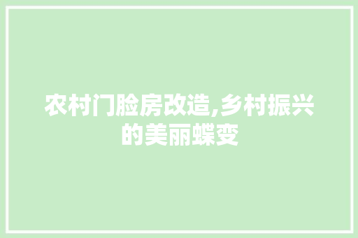 农村门脸房改造,乡村振兴的美丽蝶变