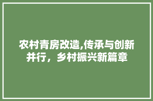 农村青房改造,传承与创新并行，乡村振兴新篇章