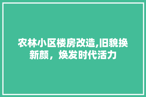 农林小区楼房改造,旧貌换新颜，焕发时代活力
