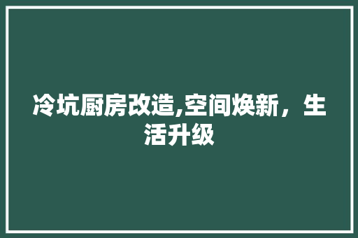 冷坑厨房改造,空间焕新，生活升级