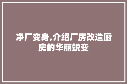 净厂变身,介绍厂房改造厨房的华丽蜕变
