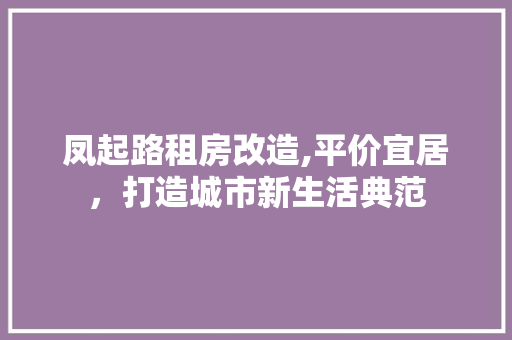 凤起路租房改造,平价宜居，打造城市新生活典范