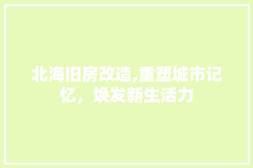 北海旧房改造,重塑城市记忆，焕发新生活力