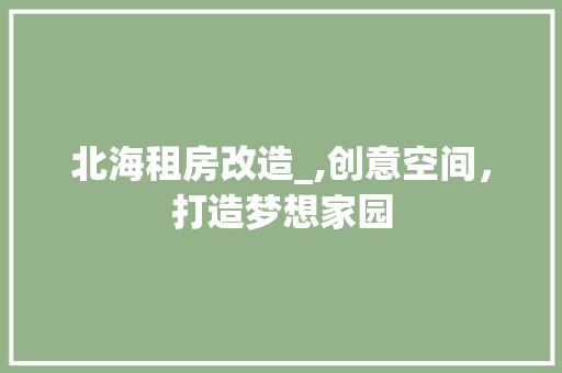 北海租房改造_,创意空间，打造梦想家园