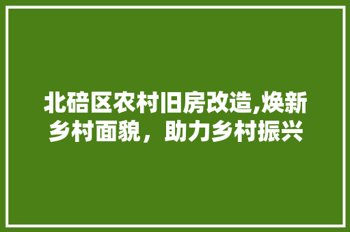 北碚区农村旧房改造,焕新乡村面貌，助力乡村振兴