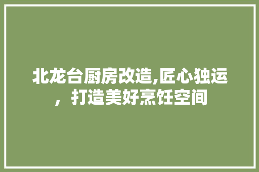 北龙台厨房改造,匠心独运，打造美好烹饪空间