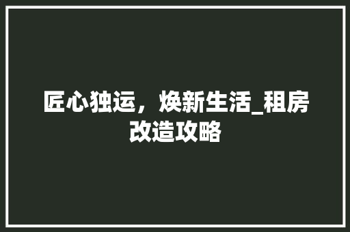 匠心独运，焕新生活_租房改造攻略