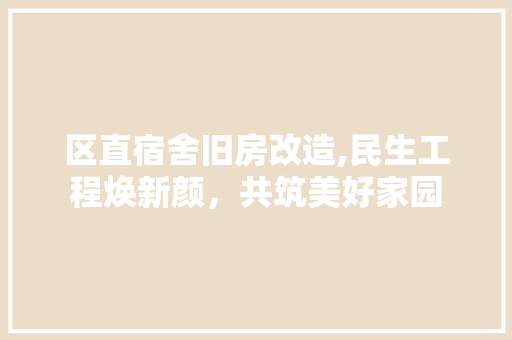 区直宿舍旧房改造,民生工程焕新颜，共筑美好家园