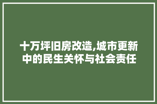 十万坪旧房改造,城市更新中的民生关怀与社会责任