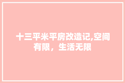 十三平米平房改造记,空间有限，生活无限