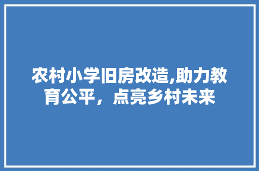 农村小学旧房改造,助力教育公平，点亮乡村未来