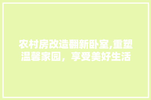 农村房改造翻新卧室,重塑温馨家园，享受美好生活