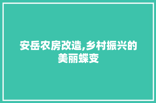 安岳农房改造,乡村振兴的美丽蝶变