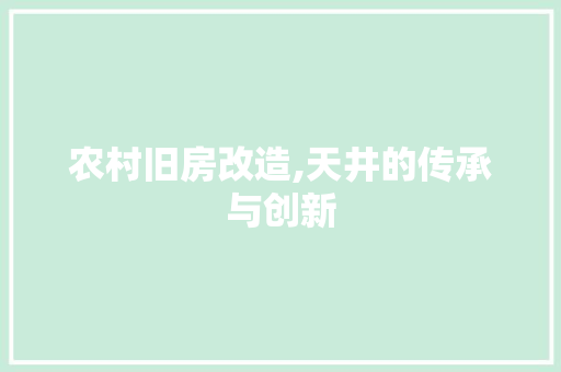 农村旧房改造,天井的传承与创新