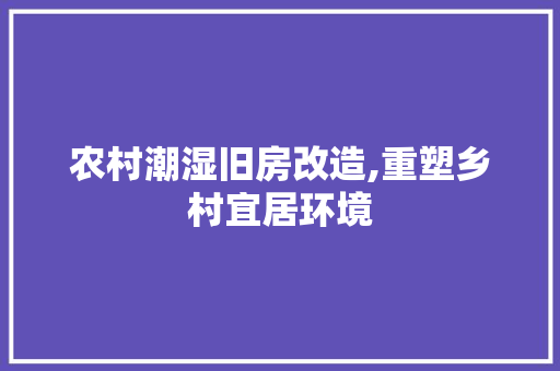 农村潮湿旧房改造,重塑乡村宜居环境