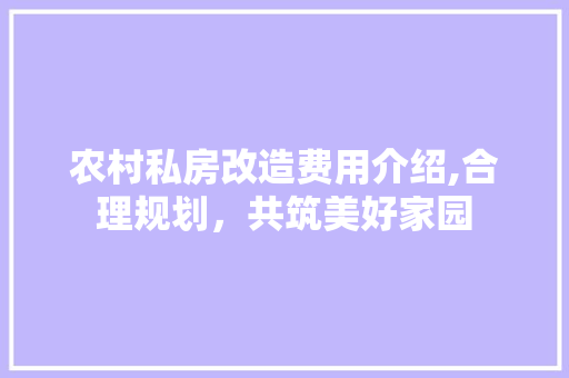 农村私房改造费用介绍,合理规划，共筑美好家园