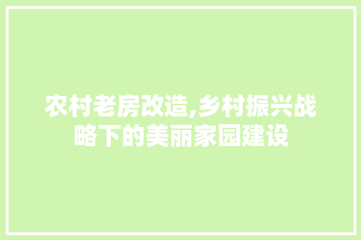 农村老房改造,乡村振兴战略下的美丽家园建设
