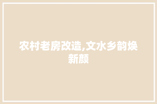 农村老房改造,文水乡韵焕新颜