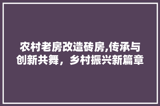 农村老房改造砖房,传承与创新共舞，乡村振兴新篇章