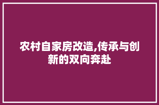 农村自家房改造,传承与创新的双向奔赴