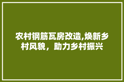 农村钢筋瓦房改造,焕新乡村风貌，助力乡村振兴
