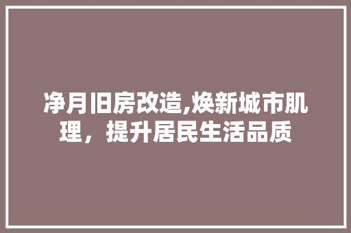 净月旧房改造,焕新城市肌理，提升居民生活品质