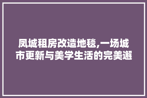 凤城租房改造地毯,一场城市更新与美学生活的完美邂逅