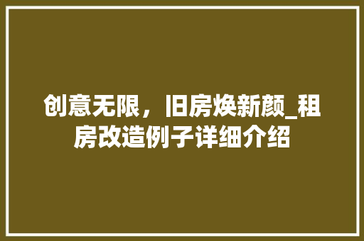 创意无限，旧房焕新颜_租房改造例子详细介绍