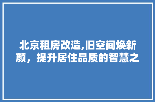 北京租房改造,旧空间焕新颜，提升居住品质的智慧之路