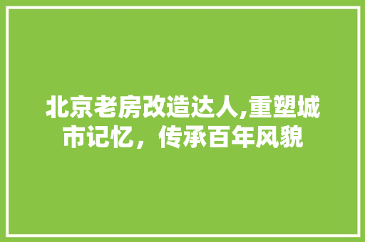 北京老房改造达人,重塑城市记忆，传承百年风貌