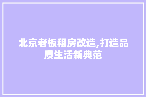 北京老板租房改造,打造品质生活新典范