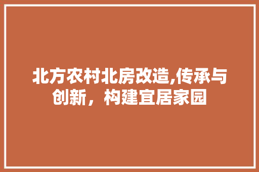 北方农村北房改造,传承与创新，构建宜居家园