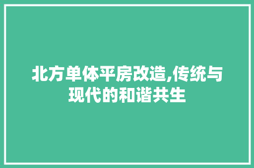 北方单体平房改造,传统与现代的和谐共生