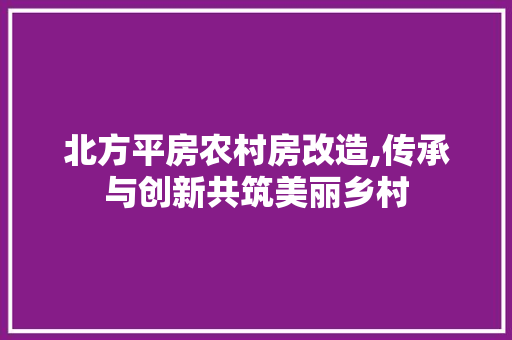 北方平房农村房改造,传承与创新共筑美丽乡村