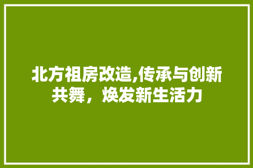 北方祖房改造,传承与创新共舞，焕发新生活力