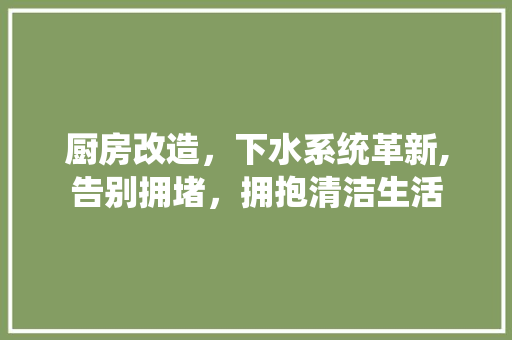厨房改造，下水系统革新,告别拥堵，拥抱清洁生活