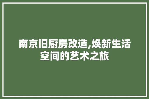 南京旧厨房改造,焕新生活空间的艺术之旅