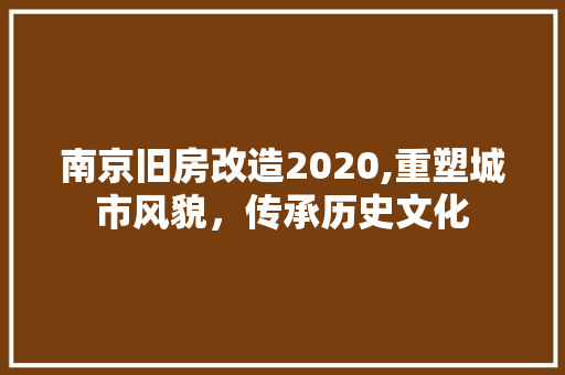 南京旧房改造2020,重塑城市风貌，传承历史文化