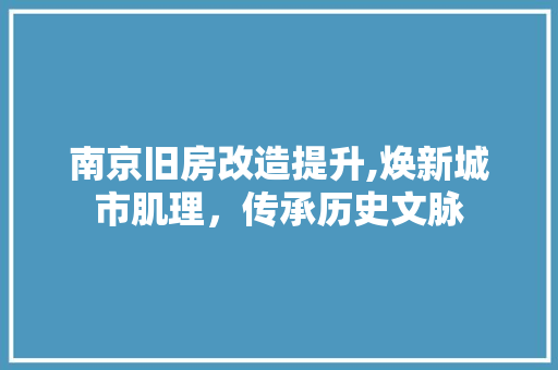 南京旧房改造提升,焕新城市肌理，传承历史文脉