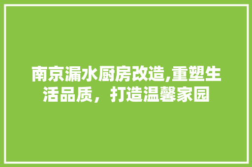南京漏水厨房改造,重塑生活品质，打造温馨家园
