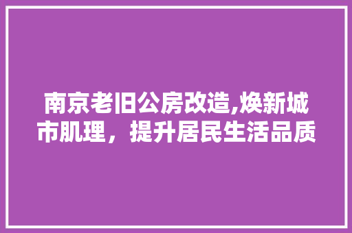 南京老旧公房改造,焕新城市肌理，提升居民生活品质