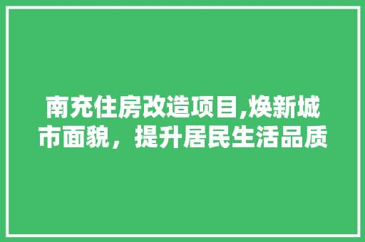 南充住房改造项目,焕新城市面貌，提升居民生活品质