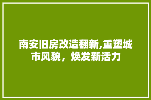 南安旧房改造翻新,重塑城市风貌，焕发新活力
