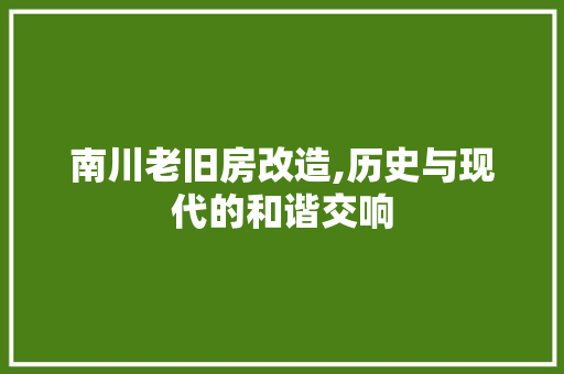南川老旧房改造,历史与现代的和谐交响
