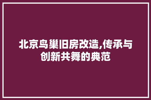 北京鸟巢旧房改造,传承与创新共舞的典范