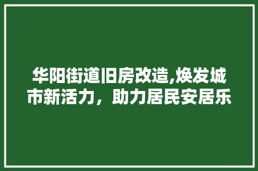 华阳街道旧房改造,焕发城市新活力，助力居民安居乐业