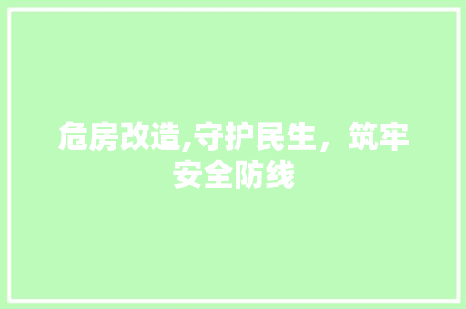 危房改造,守护民生，筑牢安全防线