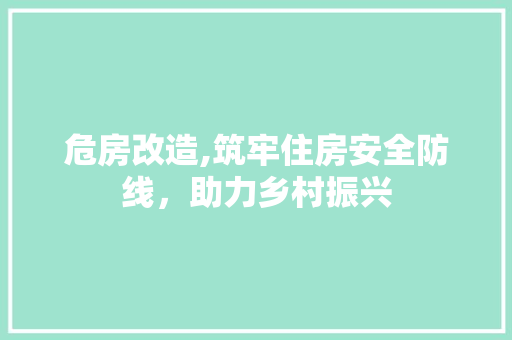 危房改造,筑牢住房安全防线，助力乡村振兴