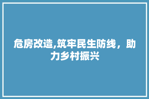 危房改造,筑牢民生防线，助力乡村振兴