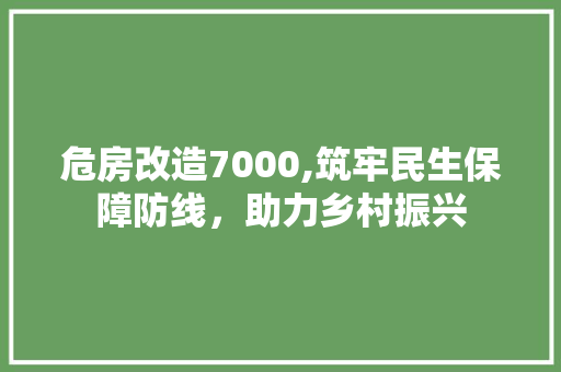 危房改造7000,筑牢民生保障防线，助力乡村振兴